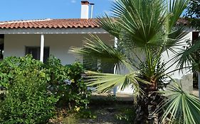 Litochoro apartment in estate